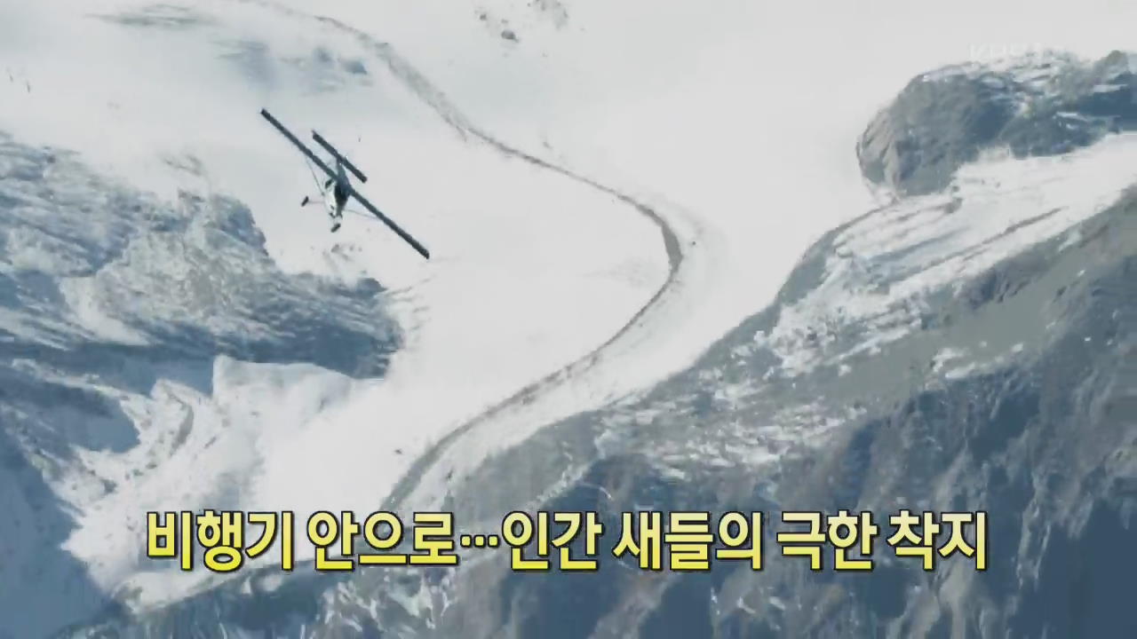 [디지털 광장] 비행기 안으로…인간 새들의 극한 착지