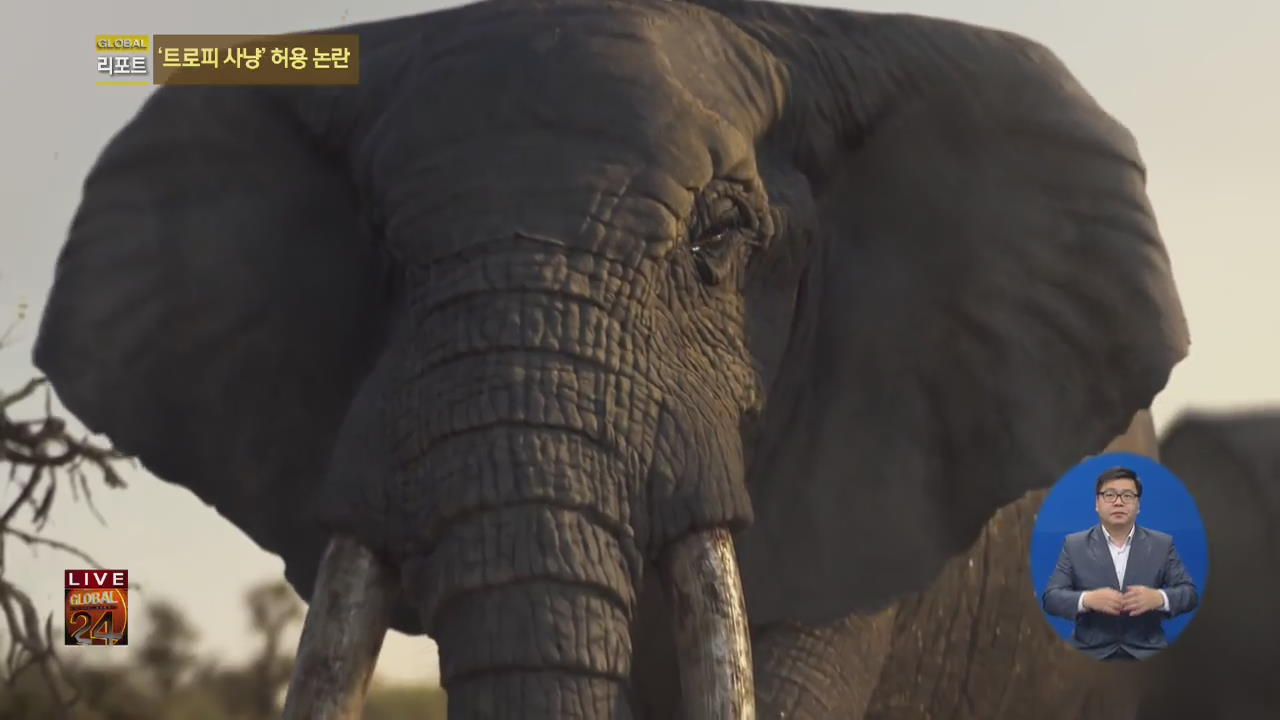 [글로벌24 리포트] 美, 코끼리 ‘트로피 사냥’ 허용 논란