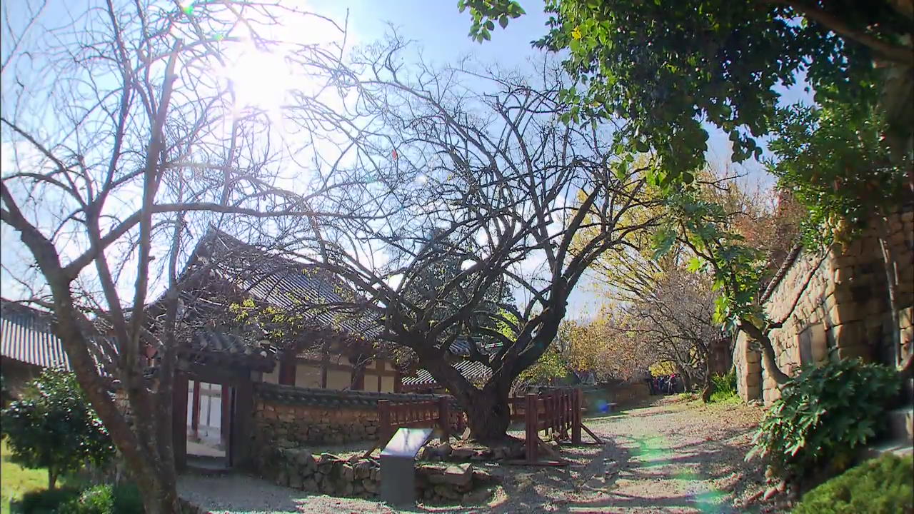 [Korea Snapshot] Seonamsa Temple