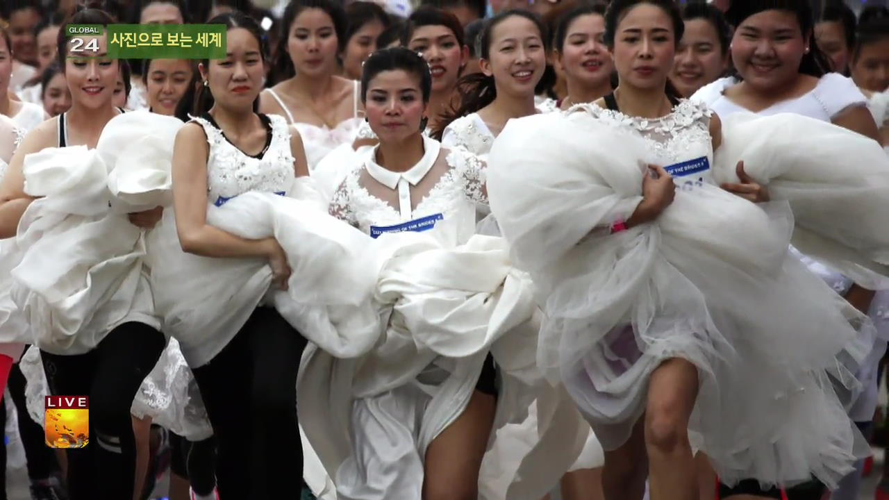 [글로벌24 사진] 신부들의 달리기 외