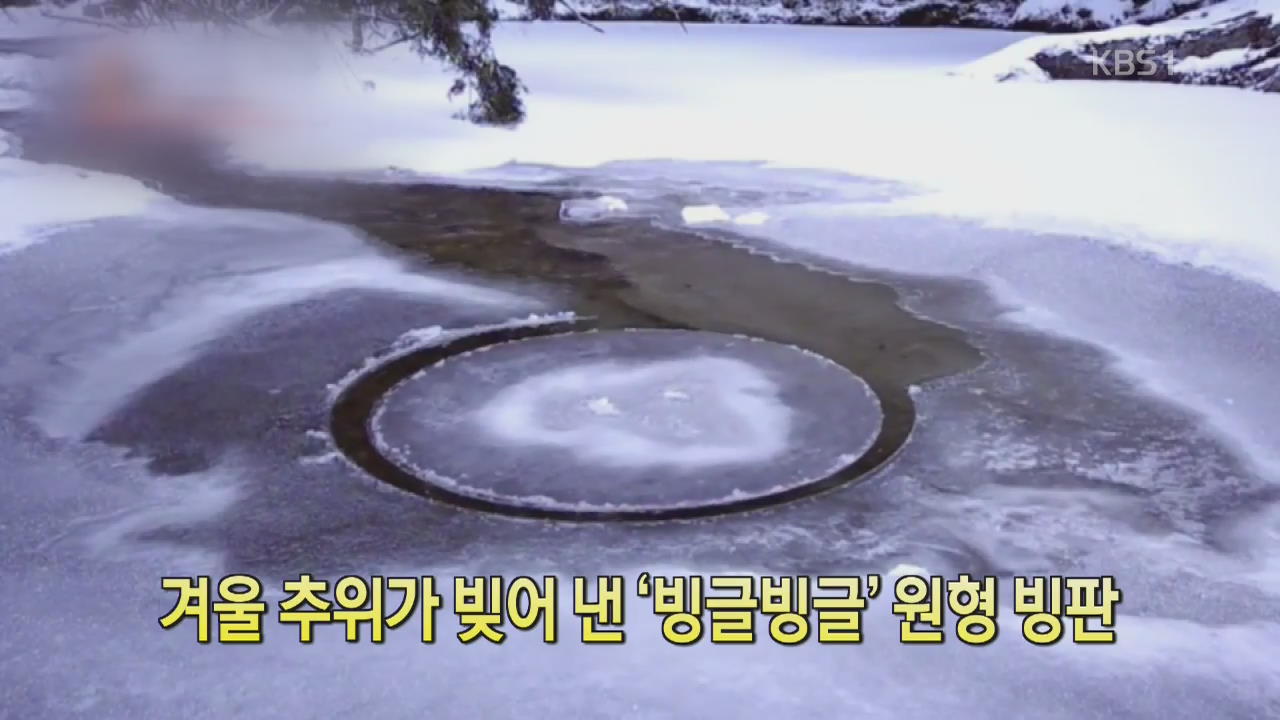 [디지털 광장] 겨울 추위가 빚어 낸 ‘빙글빙글’ 원형 빙판