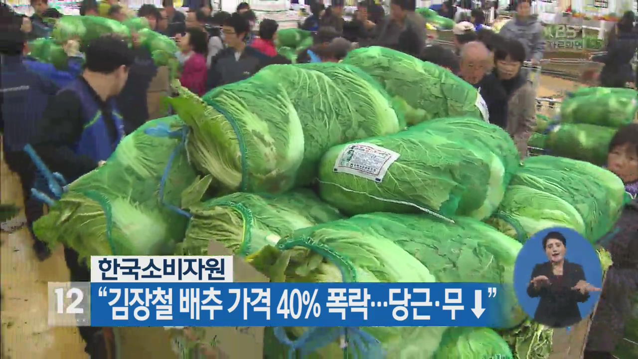 “김장철 배추 가격 40% 폭락…당근·무 ↓”