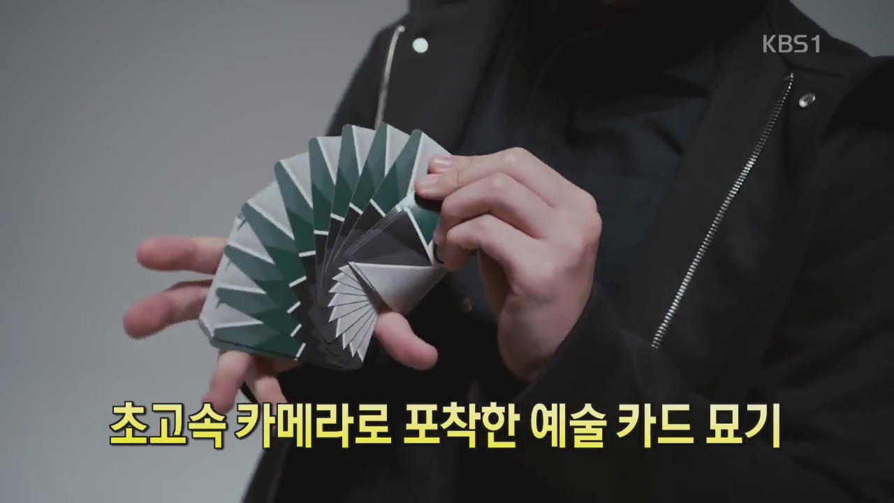 [디지털 광장] 초고속 카메라로 포착한 예술 카드 묘기