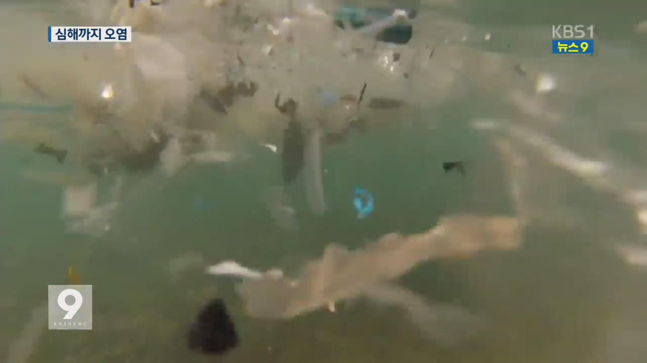 쓰레기 뒤덮인 바다…1만m 심해 생물서 플라스틱 검출
