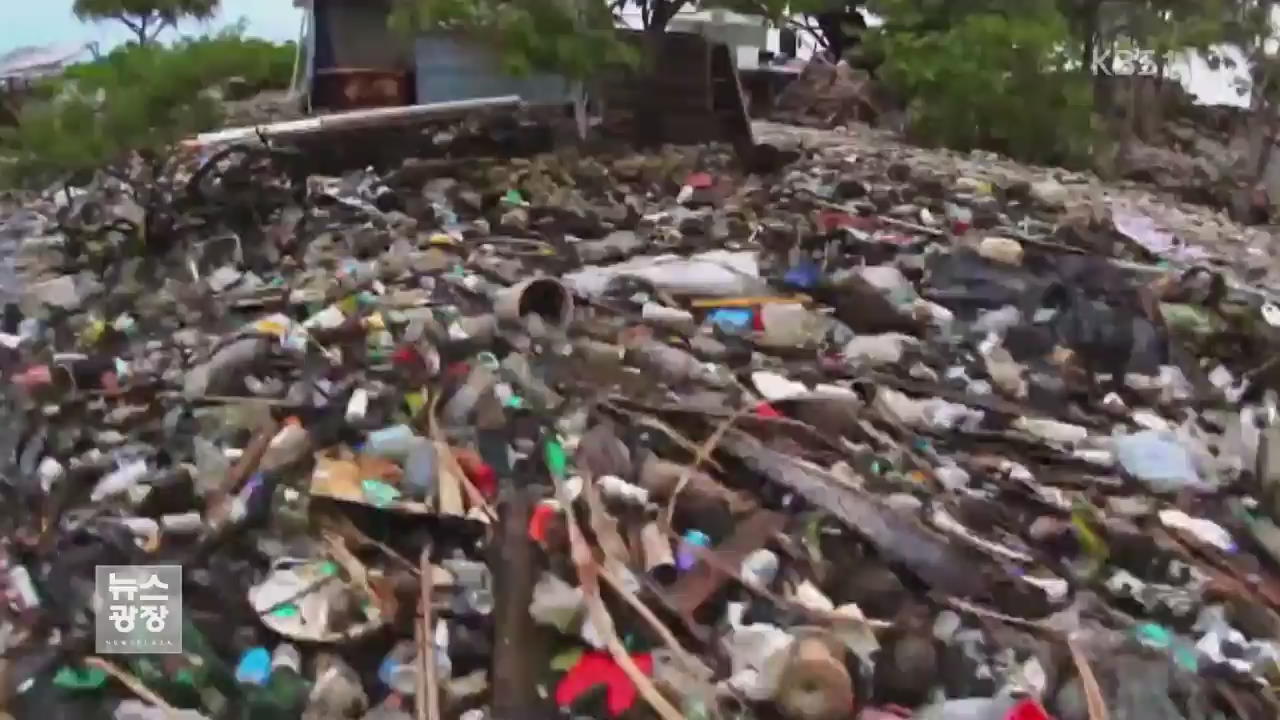 플라스틱 쓰레기 심해 생물까지 위협
