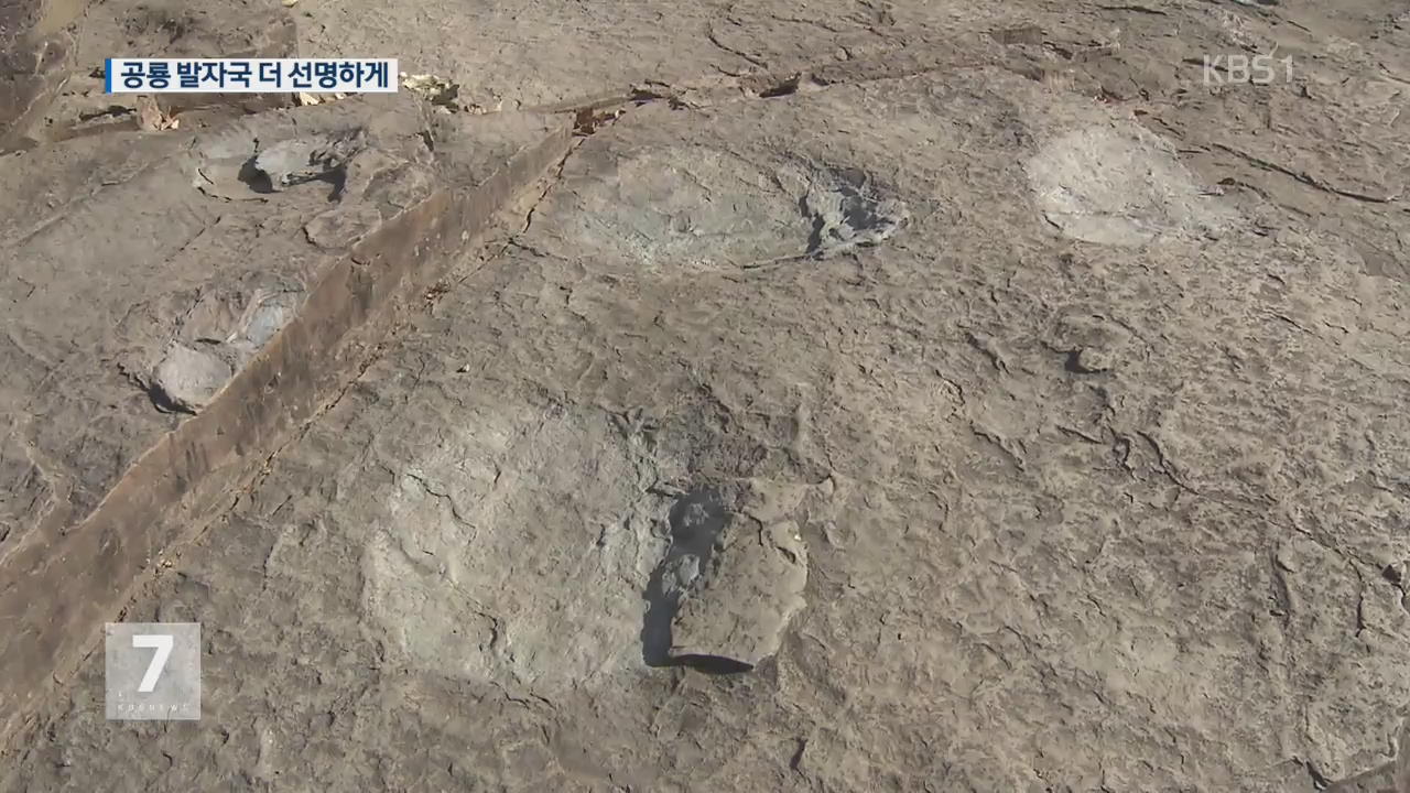 새 단장 마친 공룡 발자국 화석, 일반에 공개