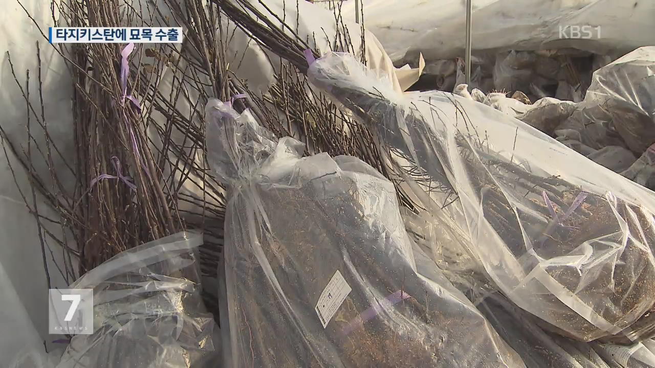 옥천 과수 묘목, 타지키스탄 첫 수출…우수성 입증