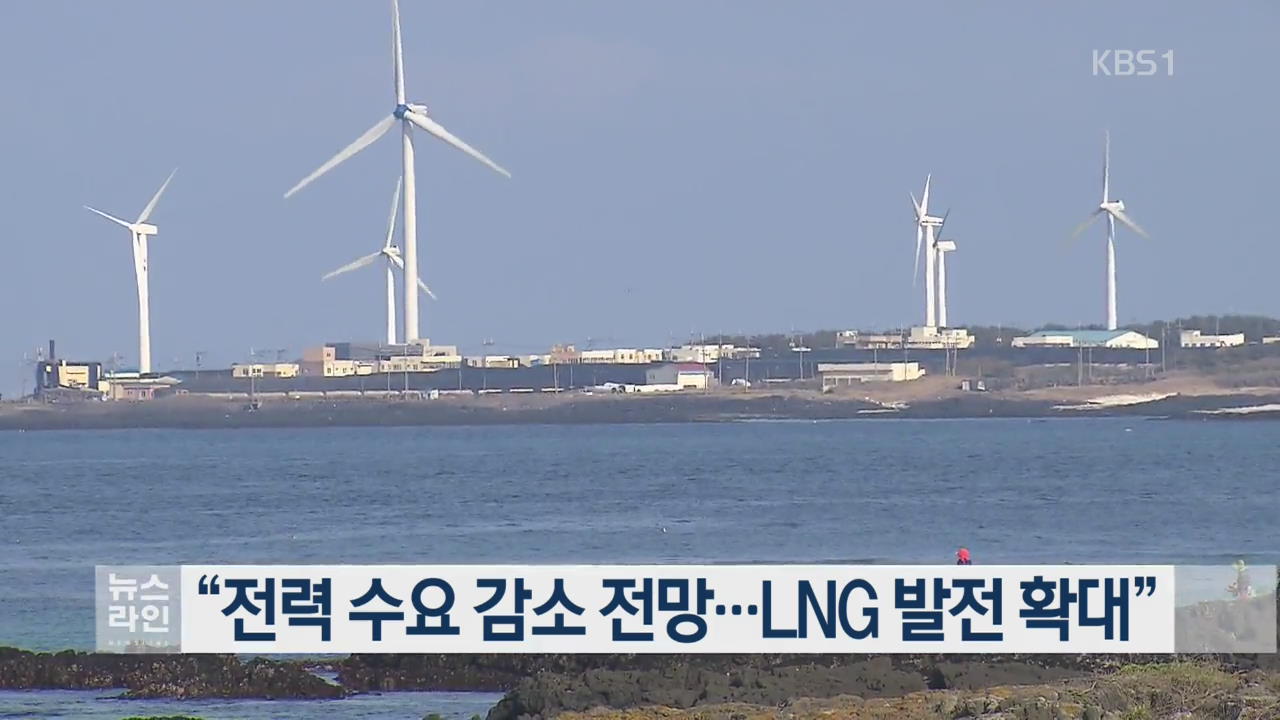 “전력 수요 감소 전망…LNG 발전 확대”