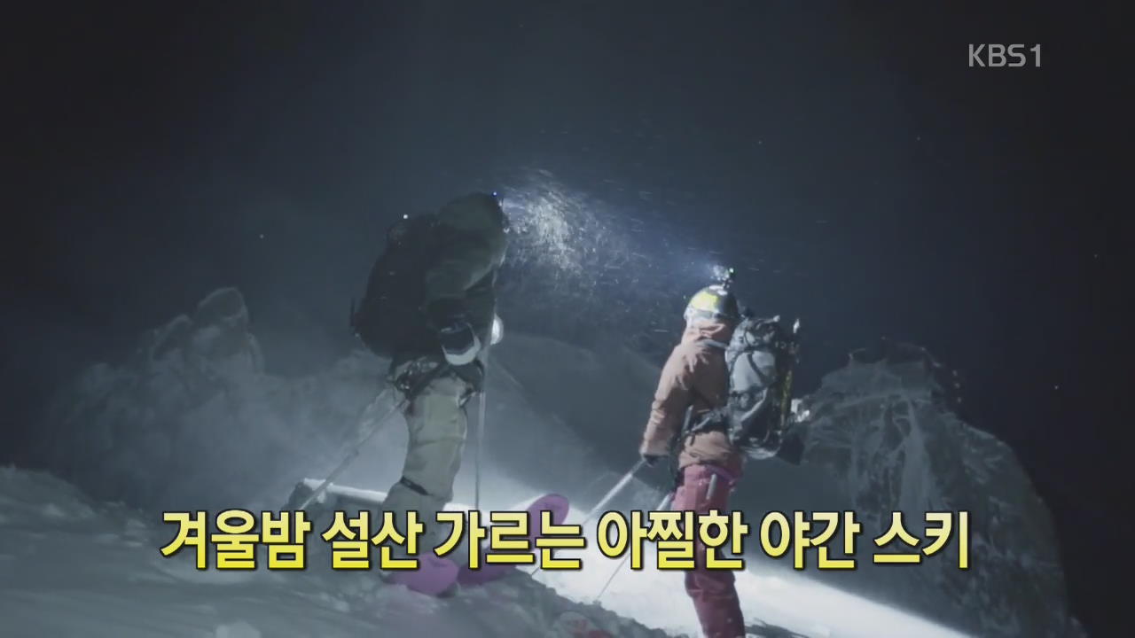 [디지털 광장] 겨울밤 설산 가르는 아찔한 야간 스키