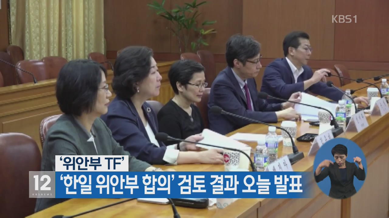 ‘위안부 TF’ ‘한일 위안부 합의’ 검토 결과 오늘 발표