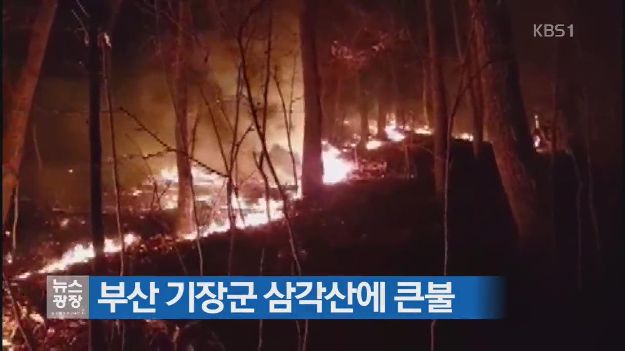 부산 기장군 삼각산에 큰불