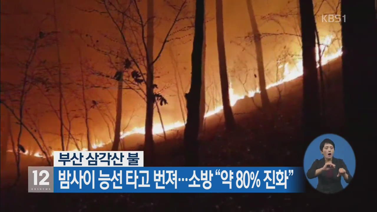 부산 삼각산 불 밤사이 능선 타고 번져…소방 “약 80% 진화”