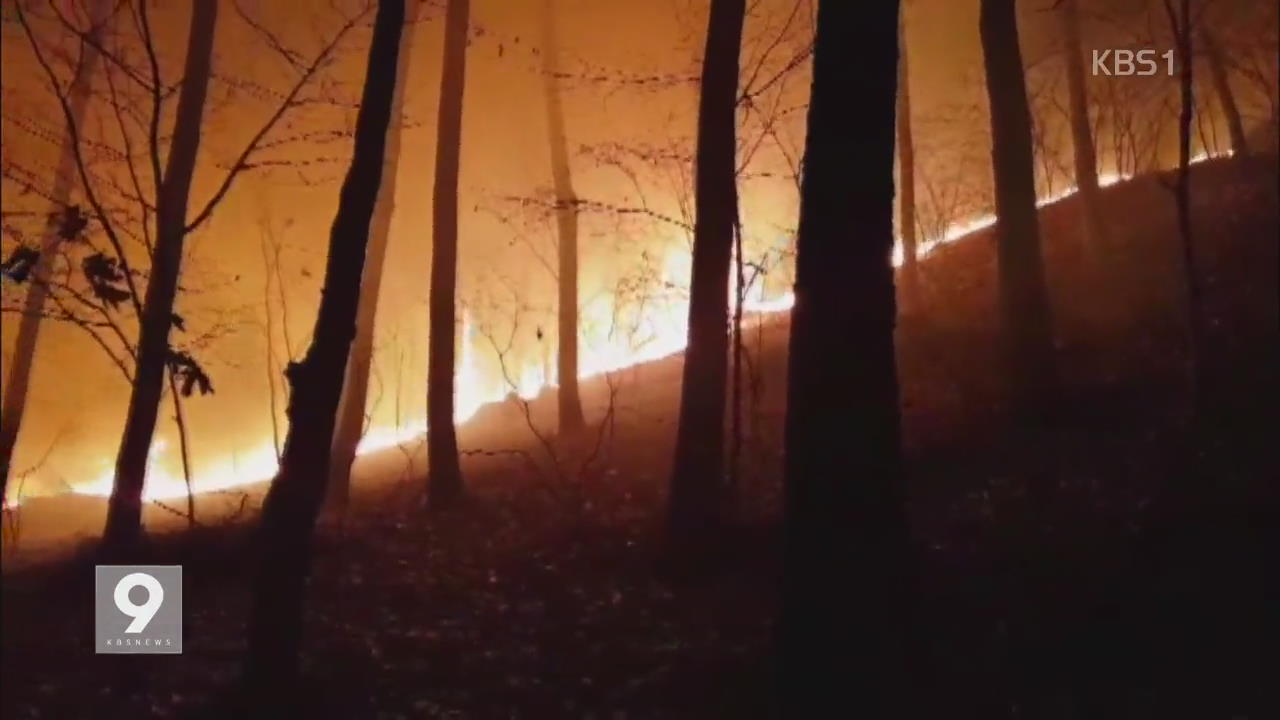 부산 기장 삼각산에 큰불…50ha 태워