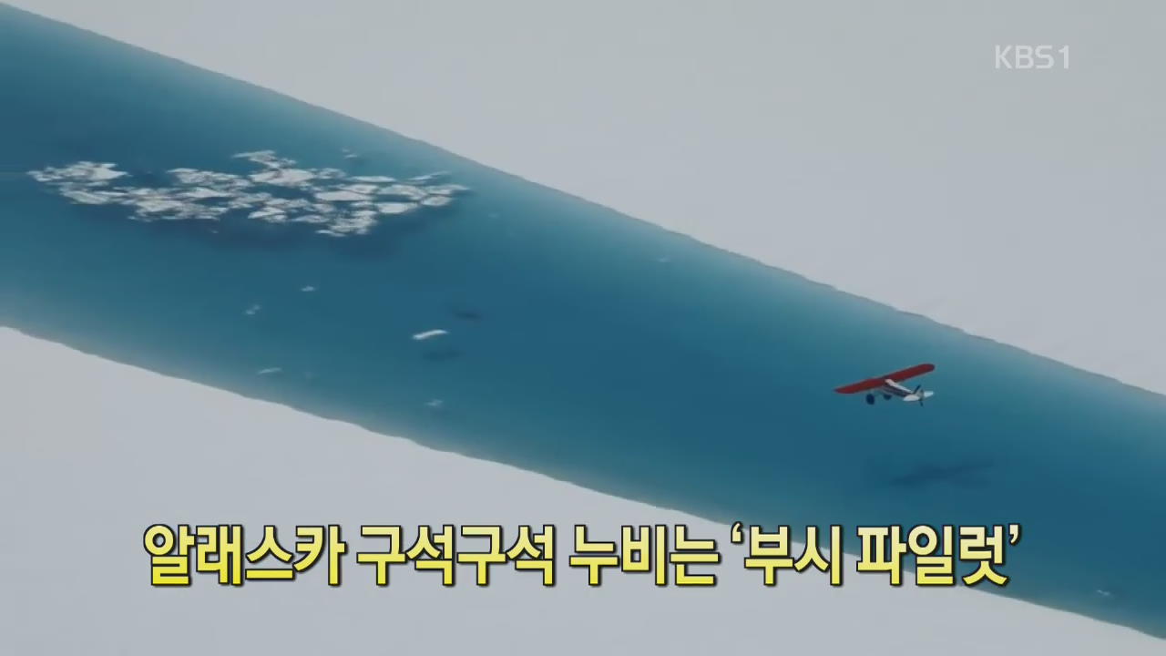 [디지털 광장] 알래스카 구석구석 누비는 ‘부시 파일럿’