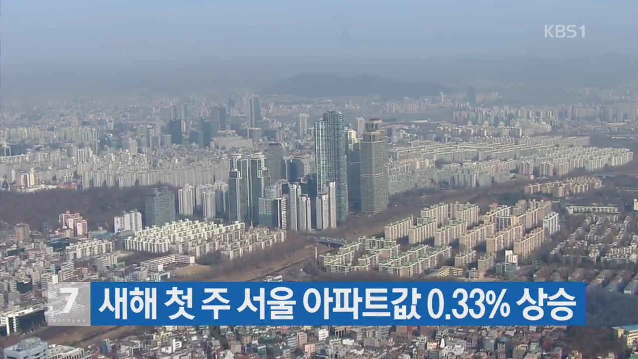 새해 첫 주 서울 아파트값 0.33% 상승