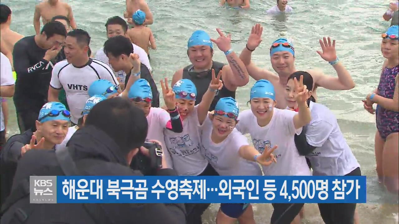 해운대 북극곰 수영축제…외국인 등 4,500명 참가