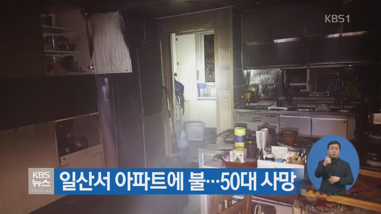 일산서 아파트에 불…50대 사망