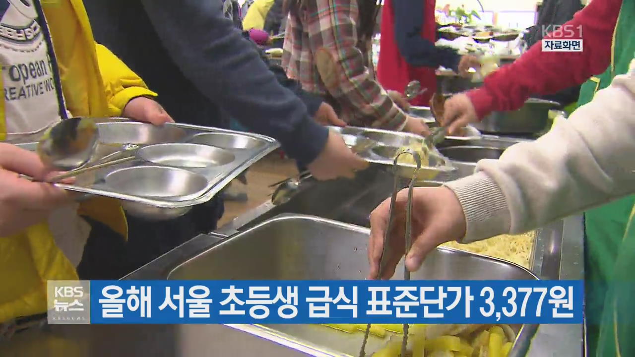 올해 서울 초등생 급식 표준단가 3,377원 