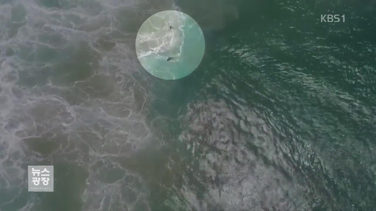 [영상] 세계 최초 ‘드론 해양구조’…70초 만에 10대 2명 구해