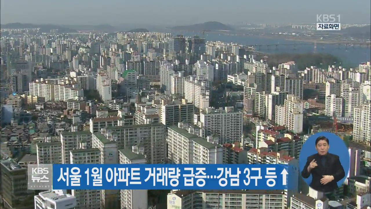 서울 1월 아파트 거래량 급증…강남 3구 등↑