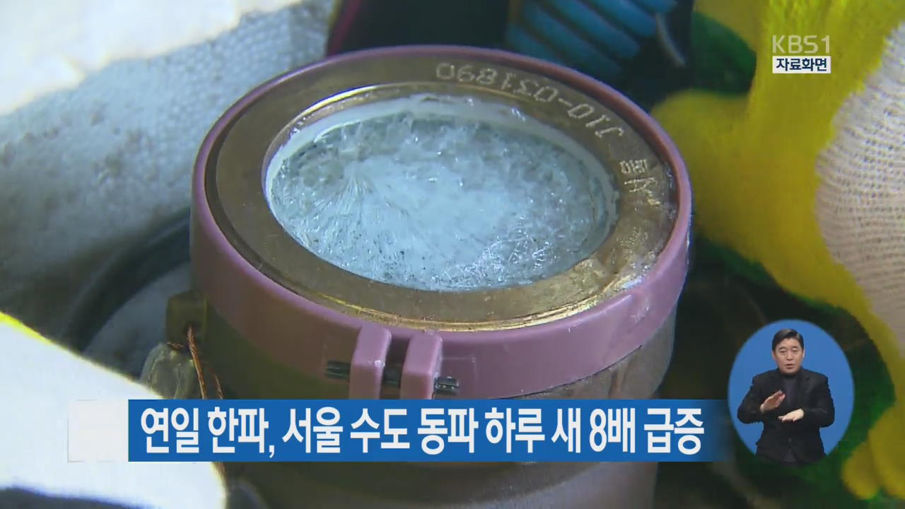 연일 한파, 서울 수도 동파 하루 새 8배 급증