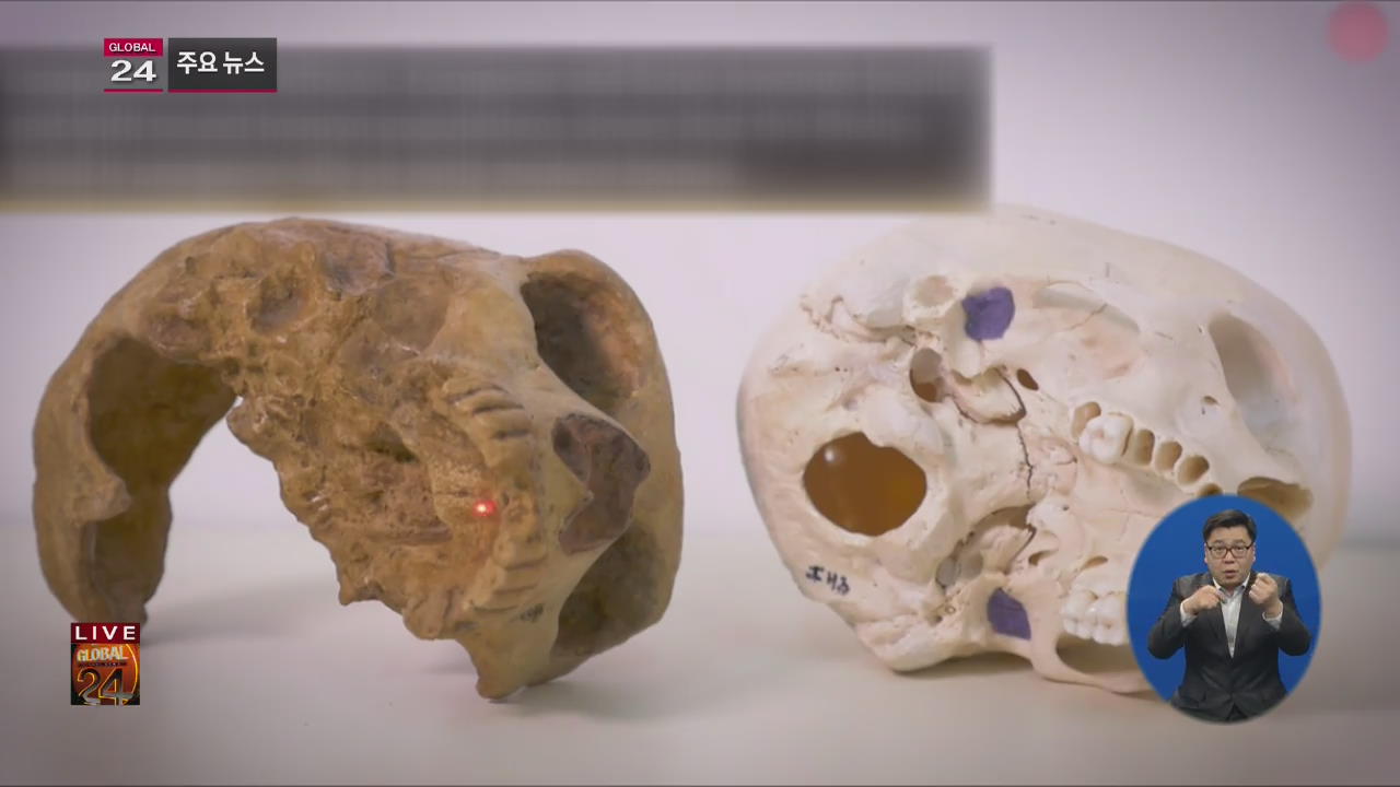 [글로벌24 주요뉴스] 이스라엘, 18만 년 된 턱뼈 발견…탈 아프리카 최고 인류 화석