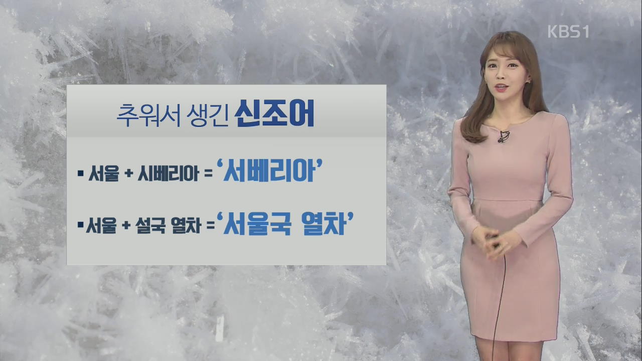 [날씨와 생활정보] 최강 한파에 신조어 ‘서베리아’ 등장