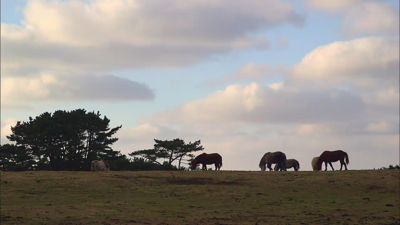 [Korea Snapshot] Jeju-do Island