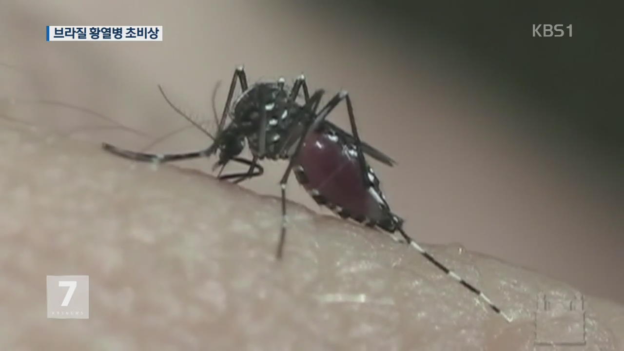 브라질 황열병 초비상…“여행 전 백신 접종”