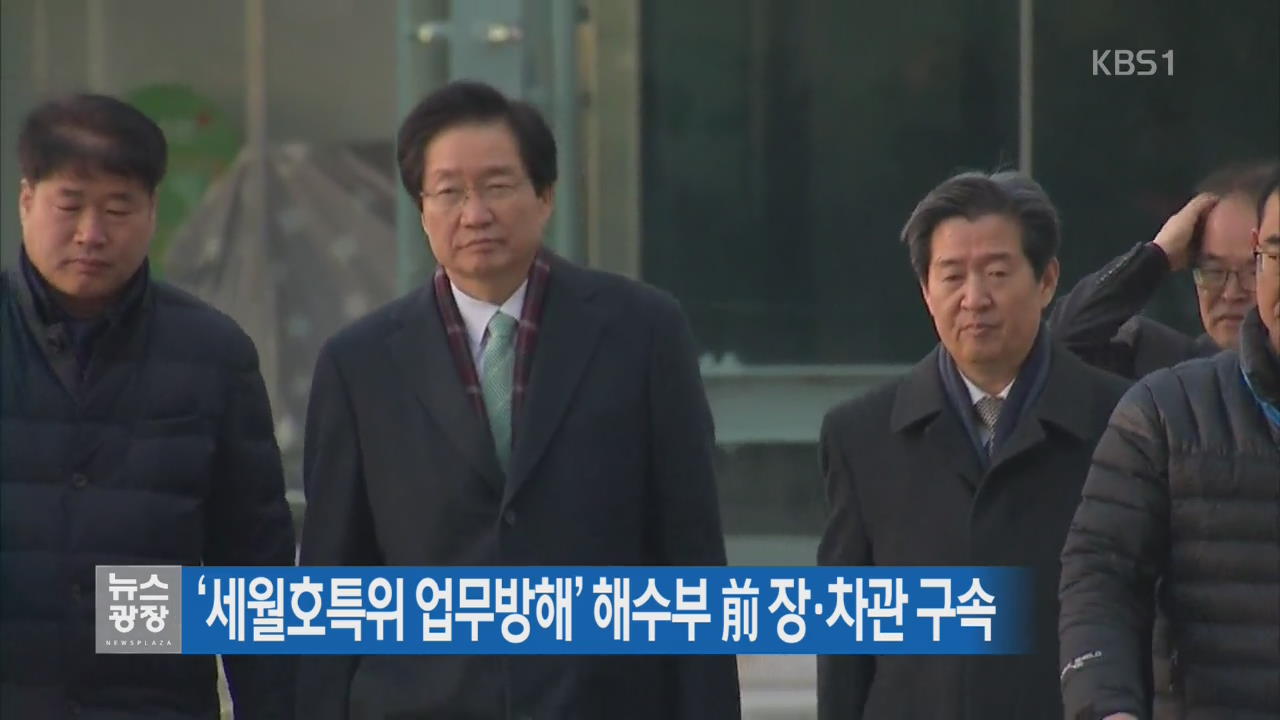 ‘세월호특위 업무방해’ 해수부 前 장·차관구속