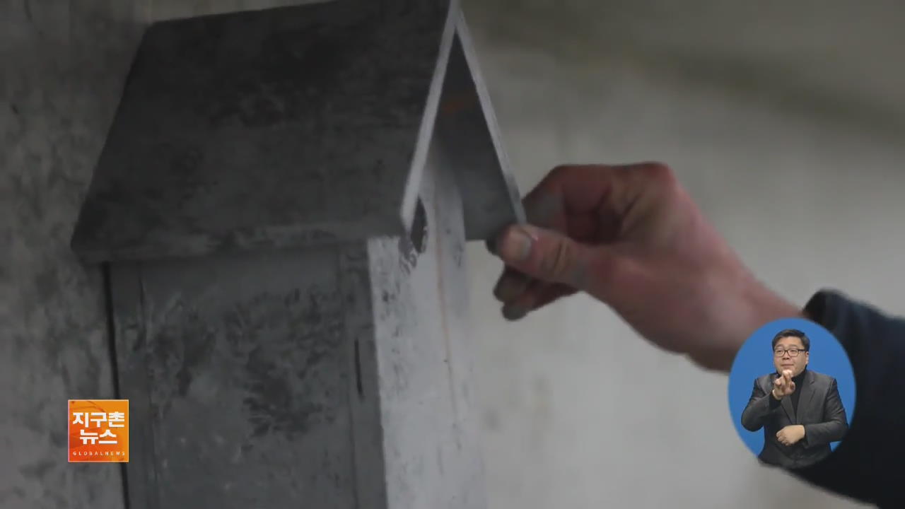 [지구촌 화제 영상] 새들을 위한 ‘위장 집’ 짓는 예술가