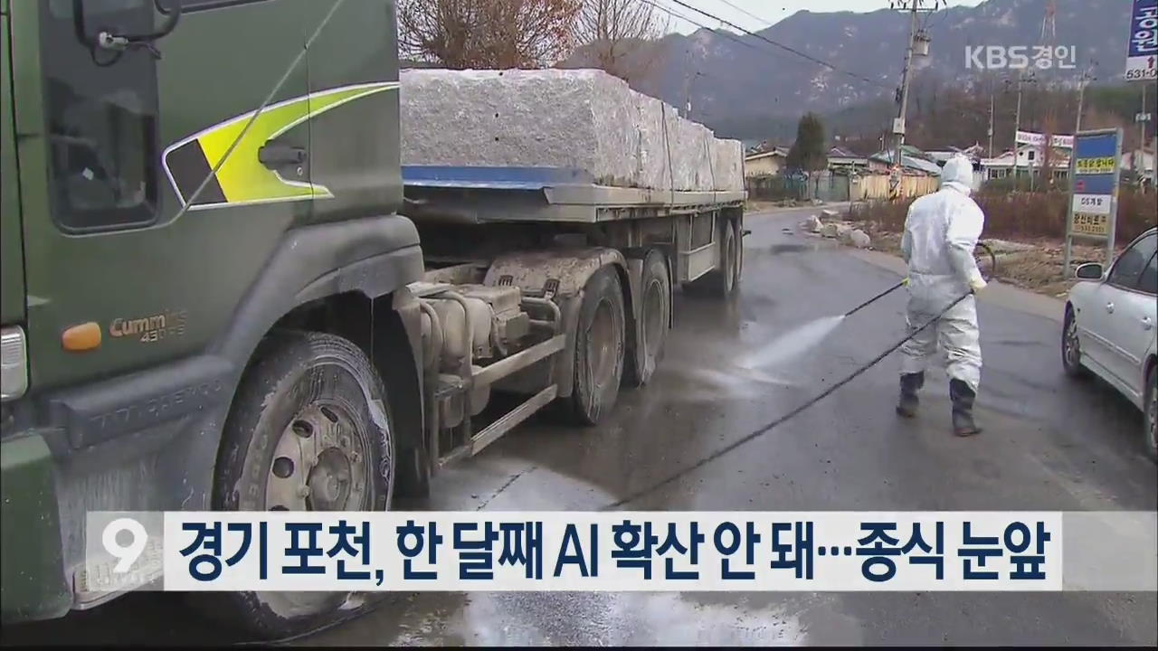 경기 포천, 한 달째 AI 확산 안 돼…종식 눈앞