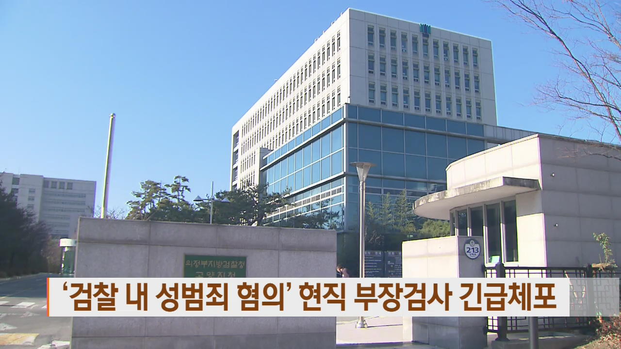 ‘검찰 내 성범죄 혐의’ 현직 부장검사 긴급체포