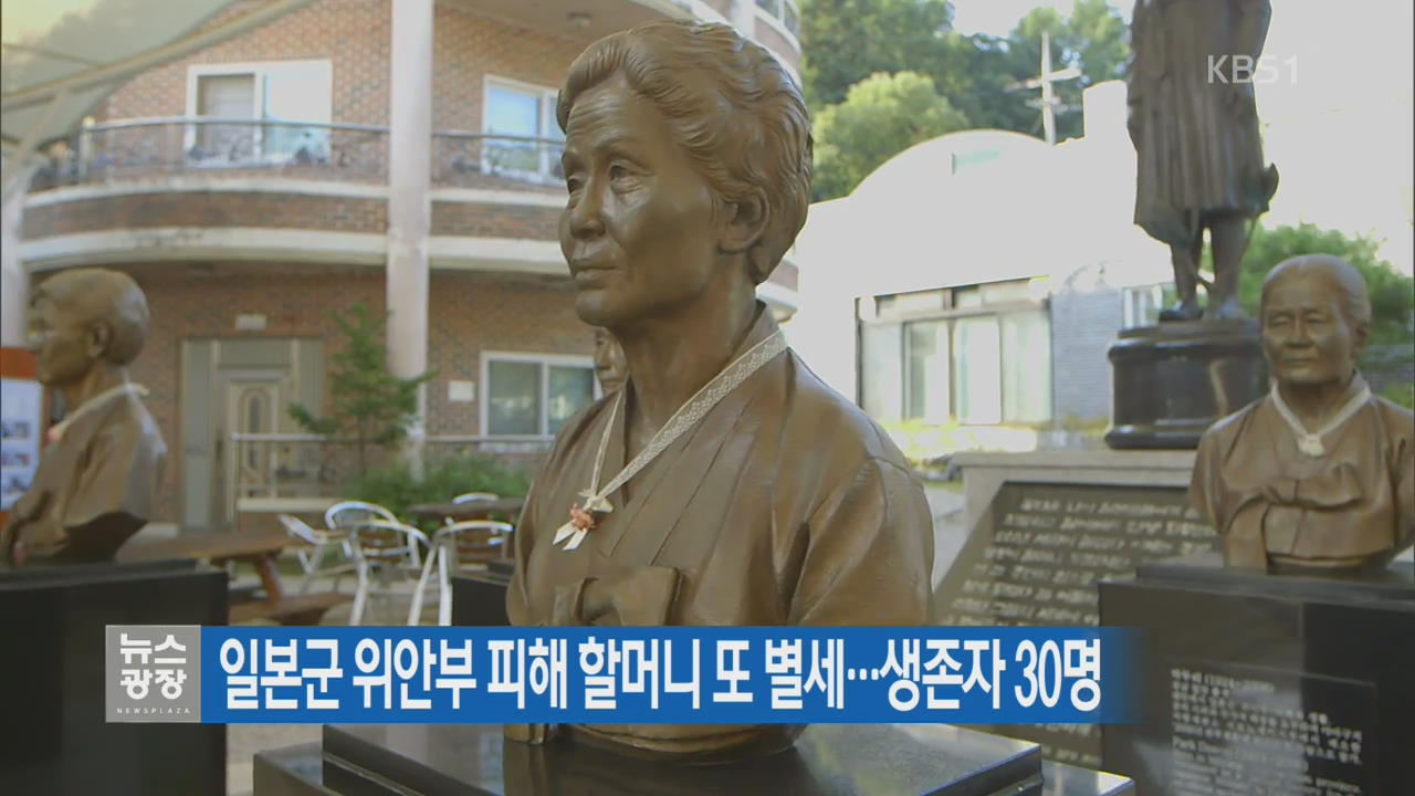 일본군 위안부 피해 할머니 또 별세…생존자 30명