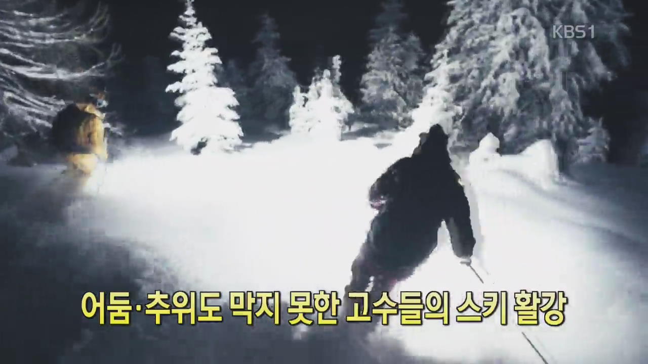 [디지털 광장] 어둠·추위도 막지 못한 고수들의 스키 활강