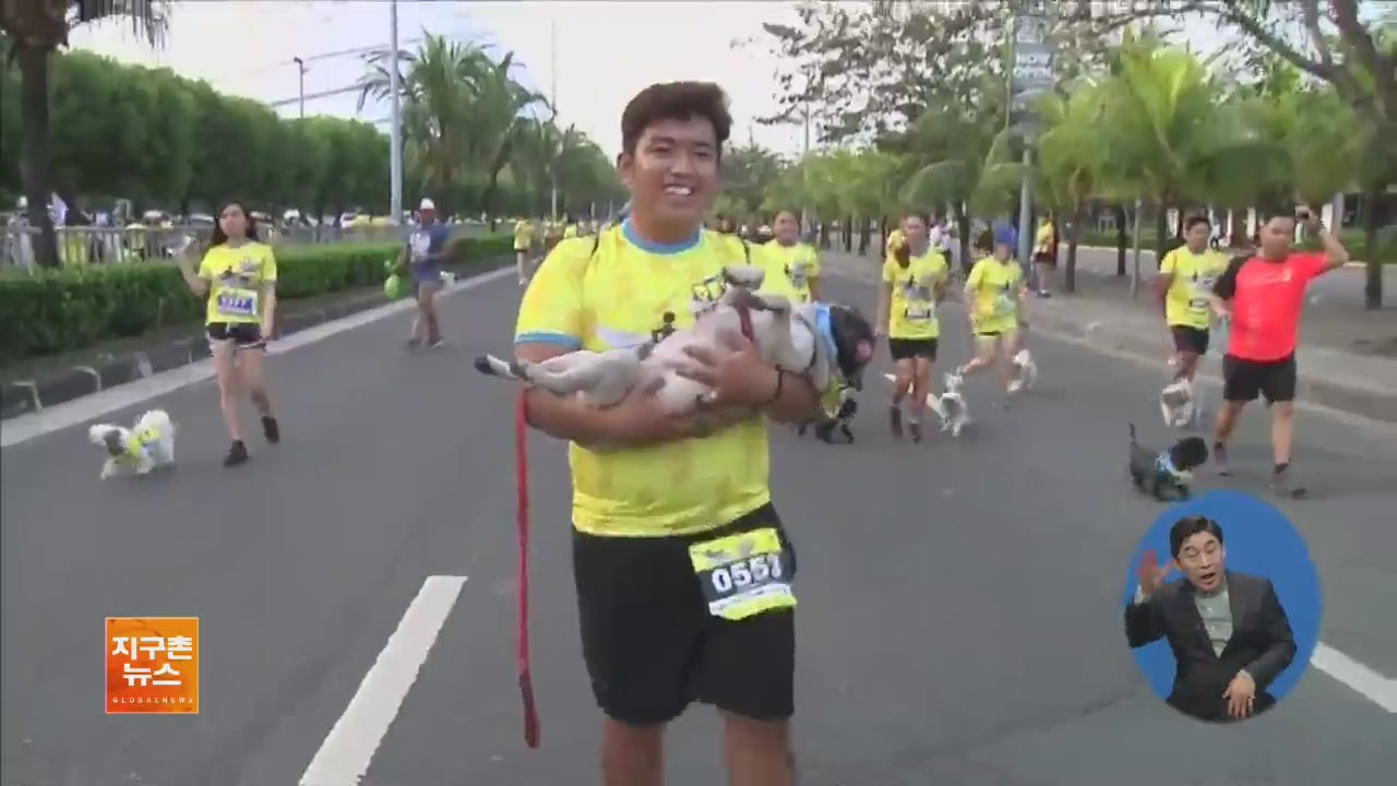 [지구촌 화제 영상] ‘반려견’과 함께 뛰는 마라톤 대회