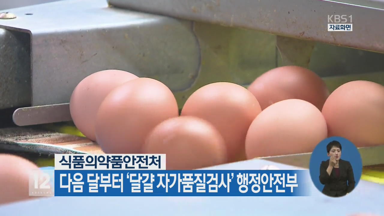 식약처, 다음 달부터 ‘달걀 자가품질검사’