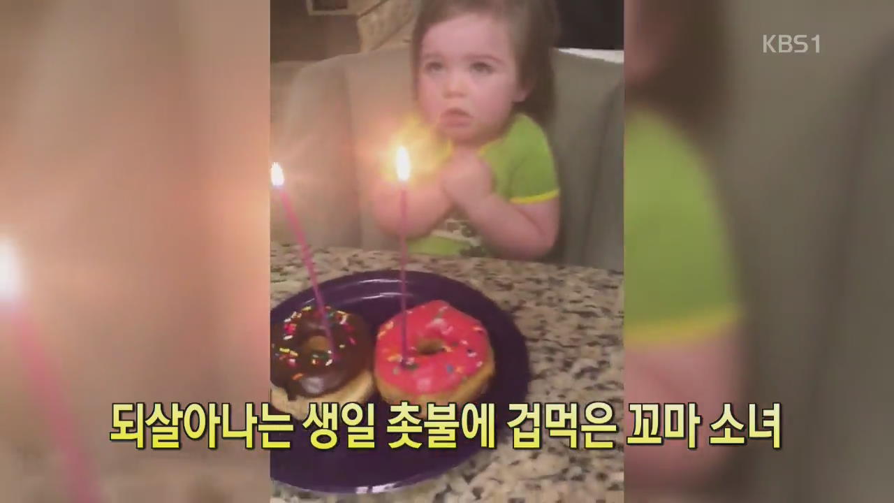 [디지털 광장] 되살아나는 생일 촛불에 겁먹은 꼬마 소녀