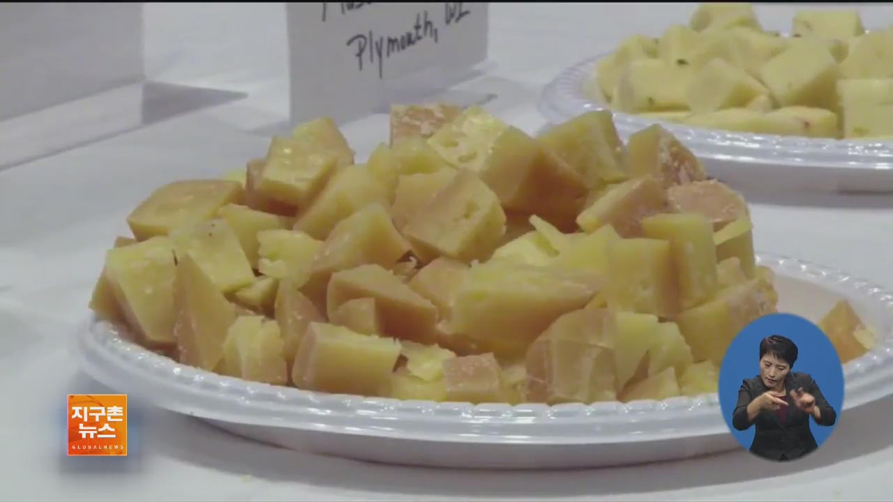 [지구촌 화제 영상] “최고의 치즈를 찾아라” 세계 치즈 대회