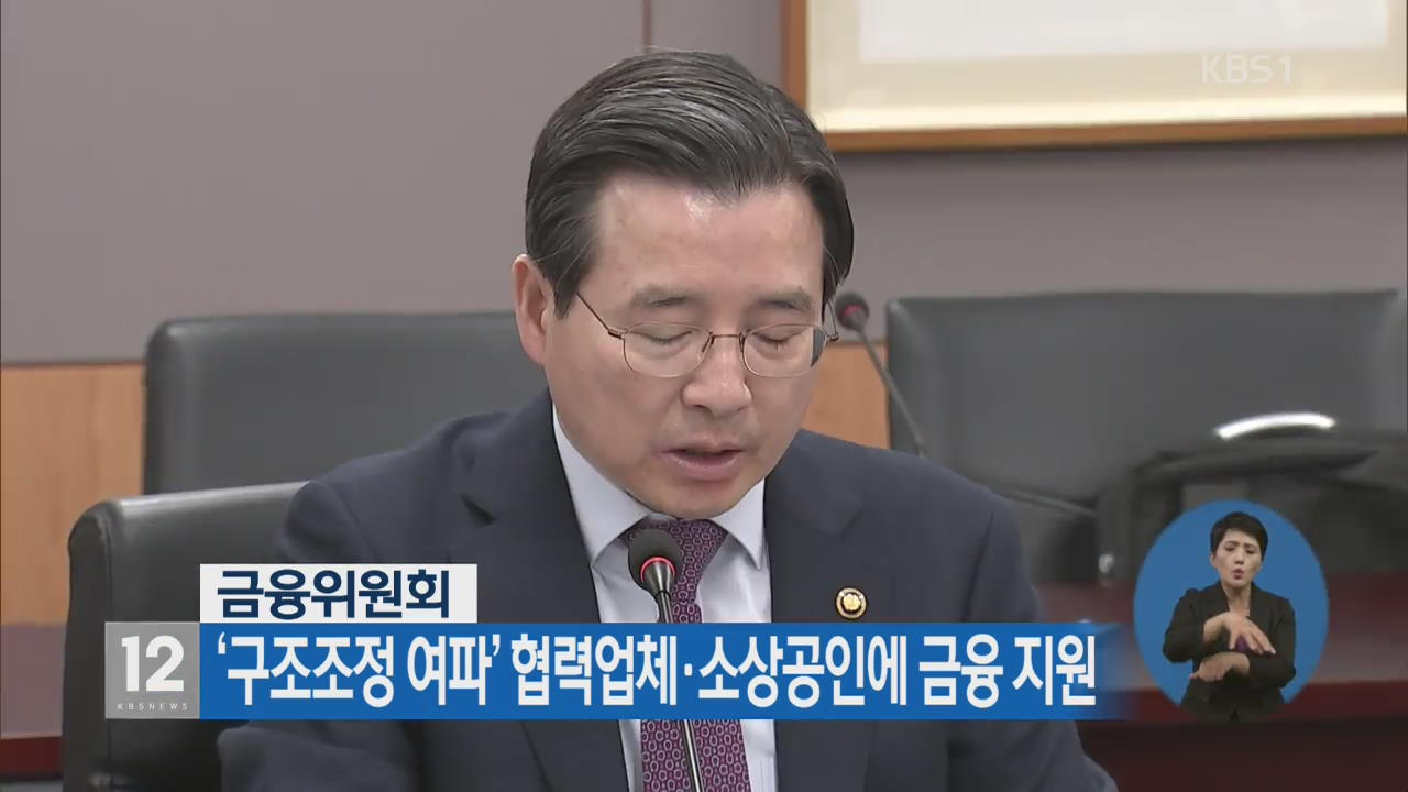 금융위, ‘구조조정 여파’ 협력업체·소상공인에 금융 지원