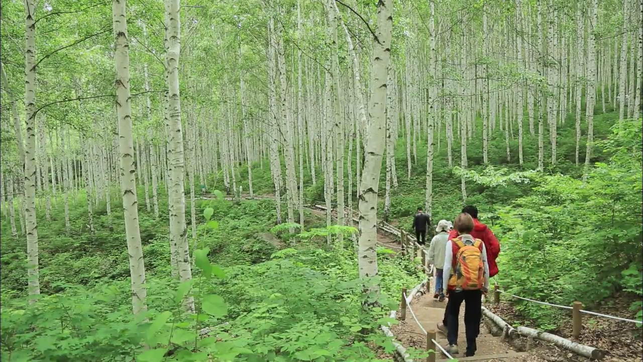 Finding Fresh Air