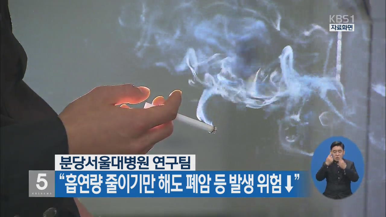 “흡연량 줄이기만 해도 폐암 등 발생 위험 ↓”