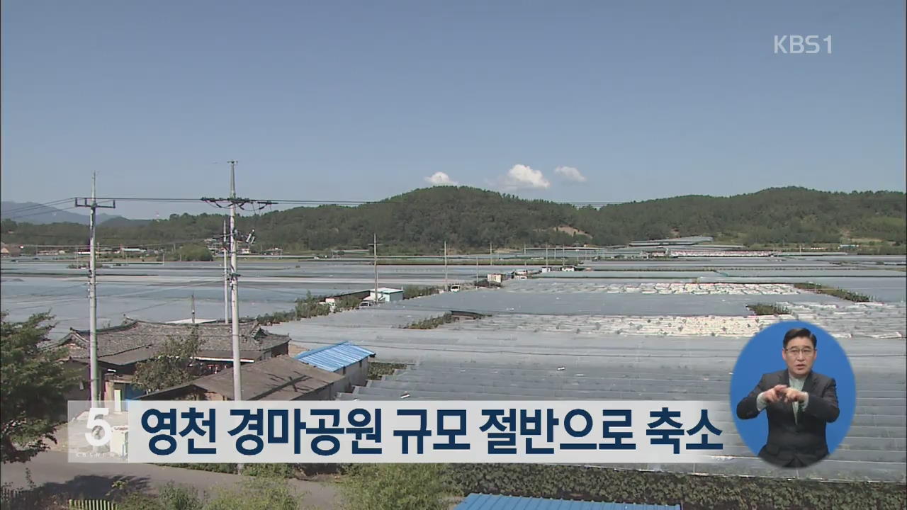 영천 경마공원 규모 절반으로 축소