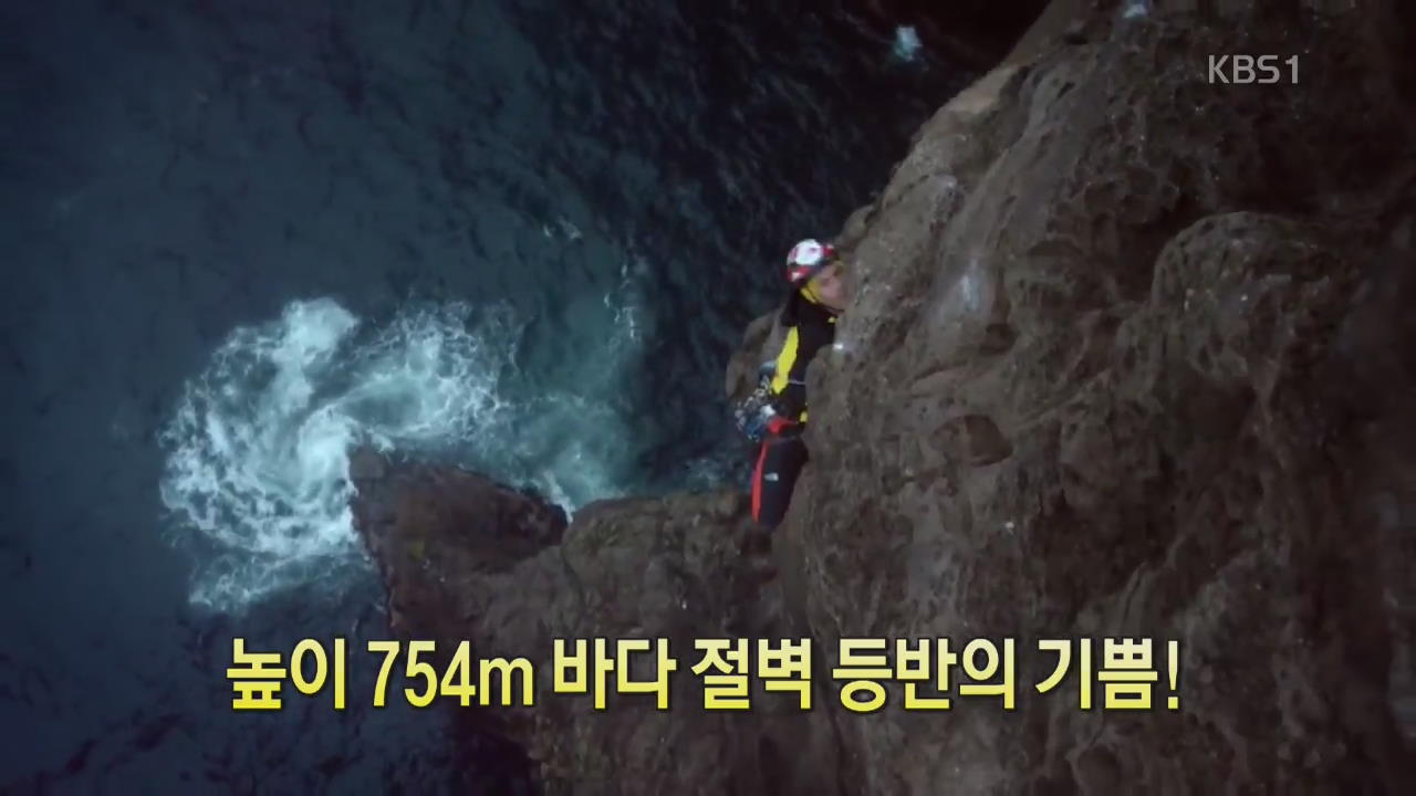 [디지털 광장] 높이 754m 바다 절벽 등반의 기쁨!