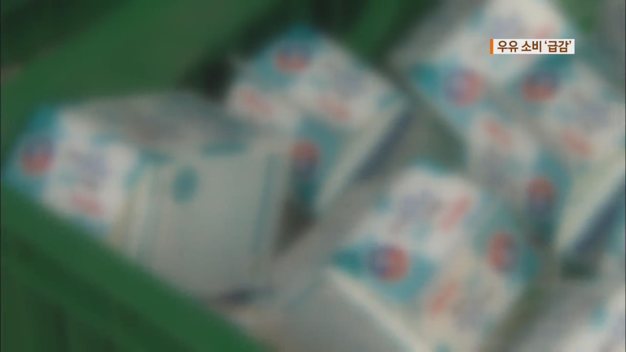 저출산에 대체음료 봇물…우유소비 급감