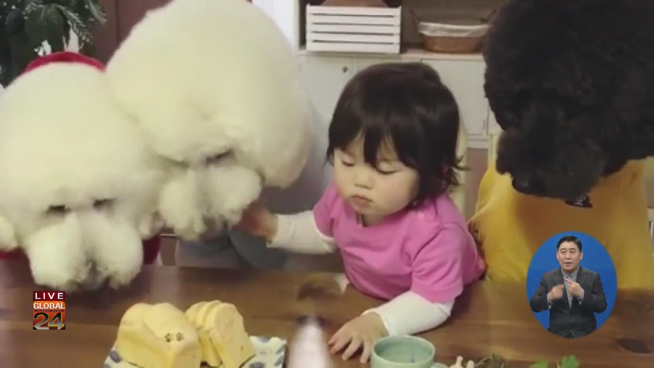 [글로벌24 브리핑] “그 많던 빵은 누가 다 먹었을까?”