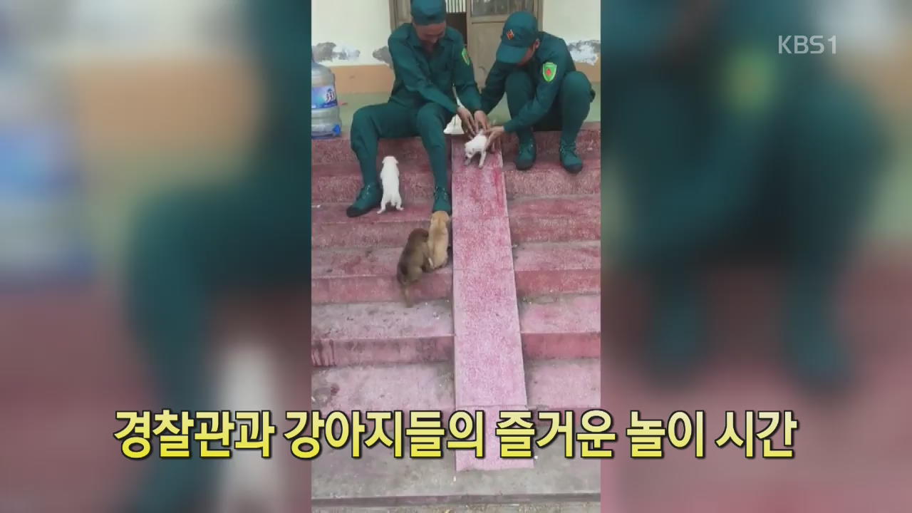 [디지털 광장] 경찰관과 강아지들의 즐거운 놀이 시간