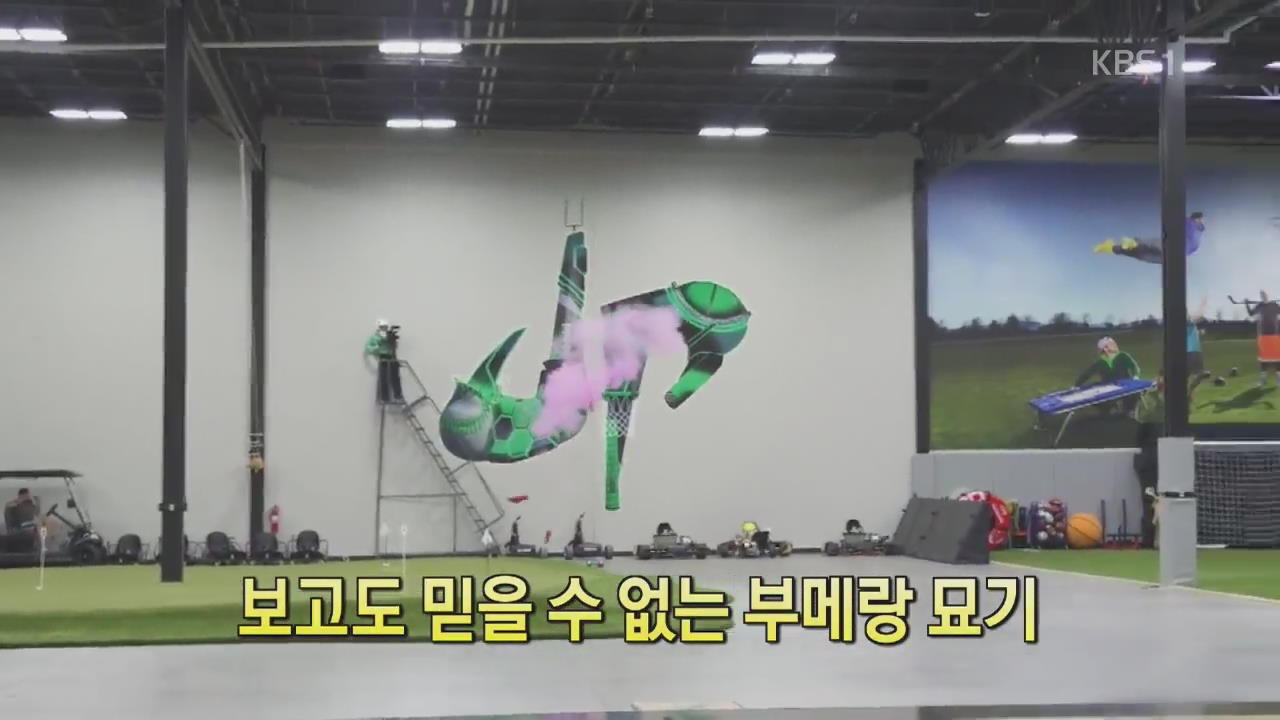[디지털 광장] 보고도 믿을 수 없는 부메랑 묘기