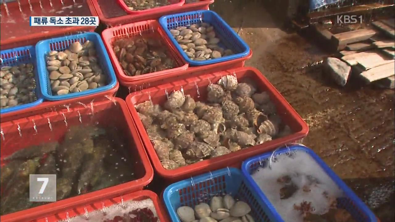 ‘패류 독소’ 초과 해역 28곳으로 늘어…채취 금지