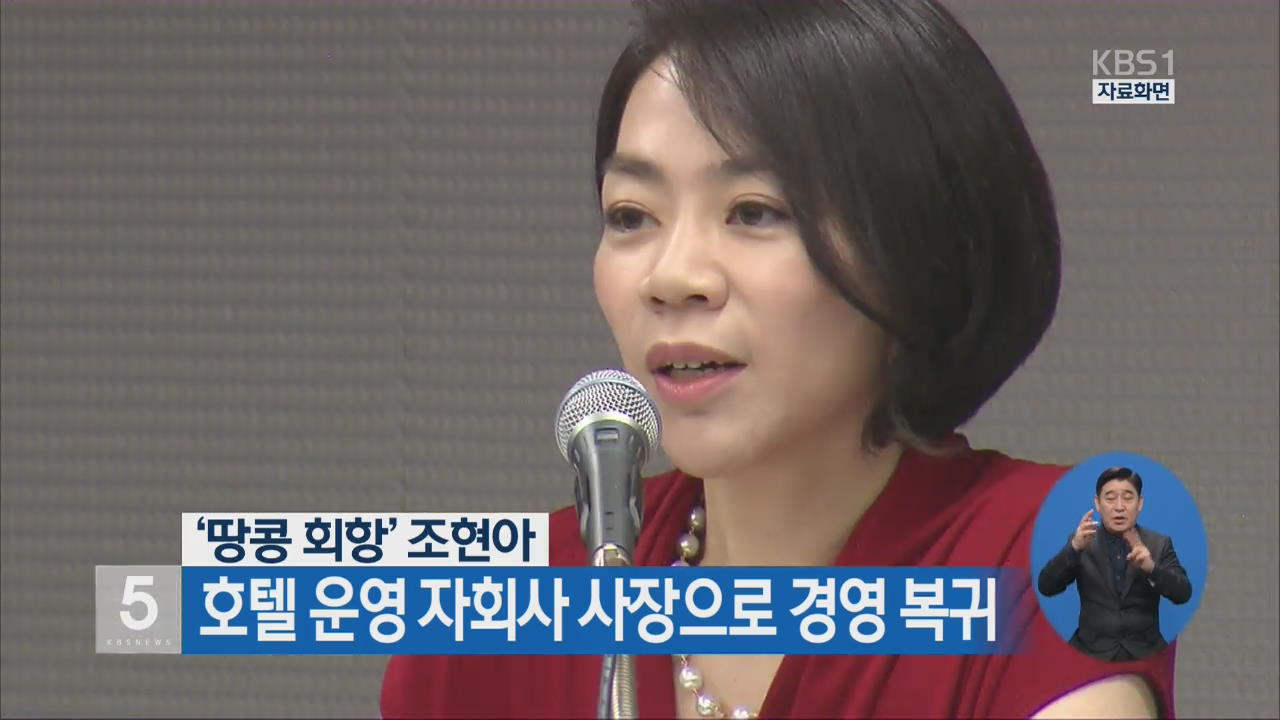 ‘땅콩 회항’ 조현아, 호텔 운영 자회사 사장으로 경영 복귀